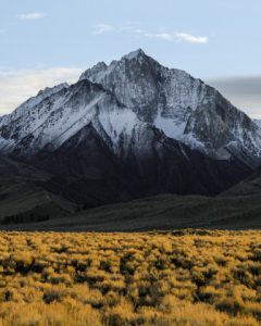 portfolio 03 240x300.jpg