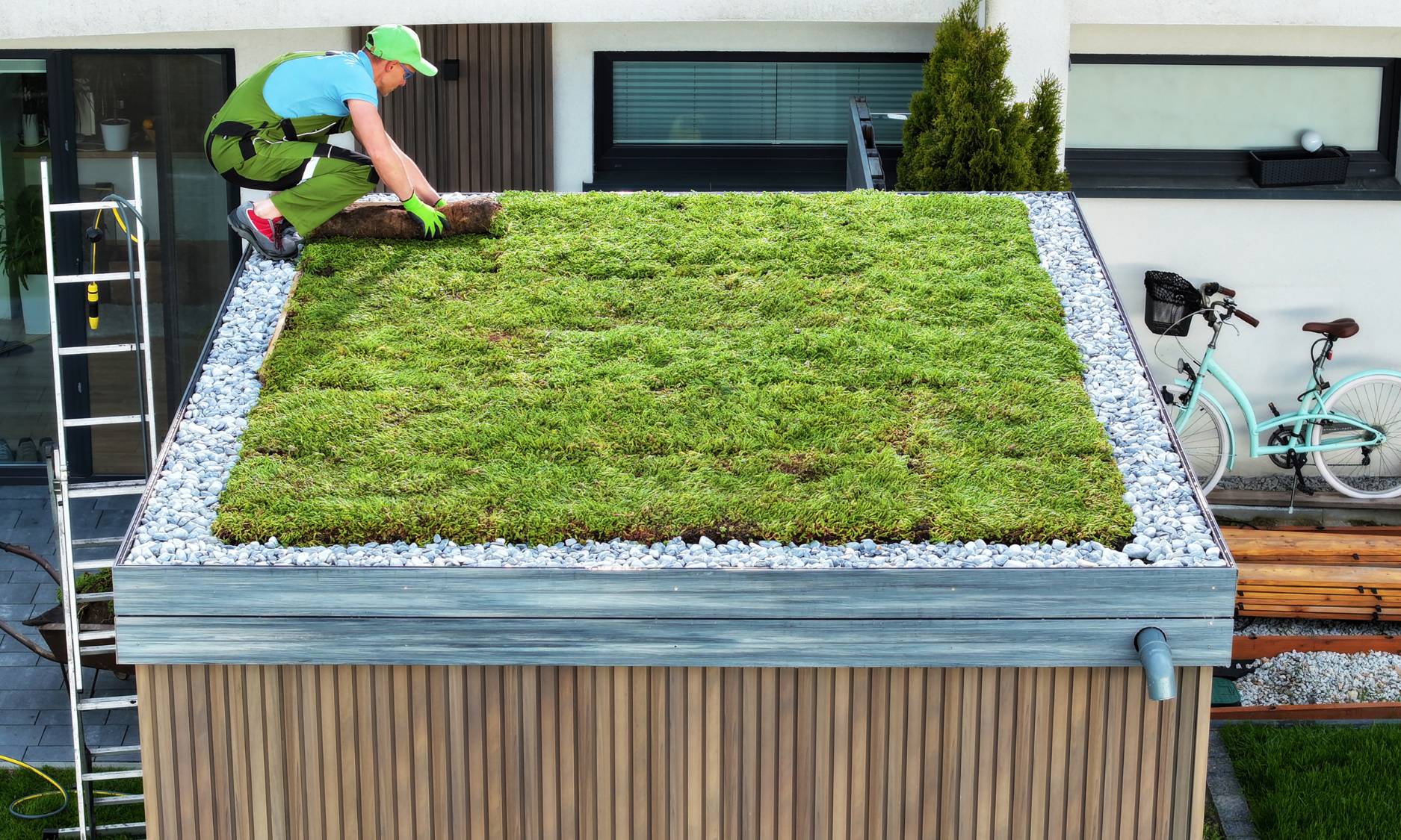 green roof image